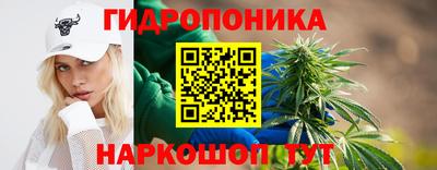 соль ск Краснодар