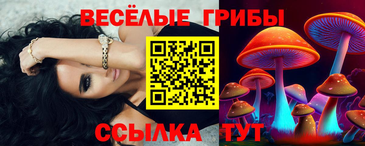 Псилоцибиновые грибы Magic Shrooms Ейск