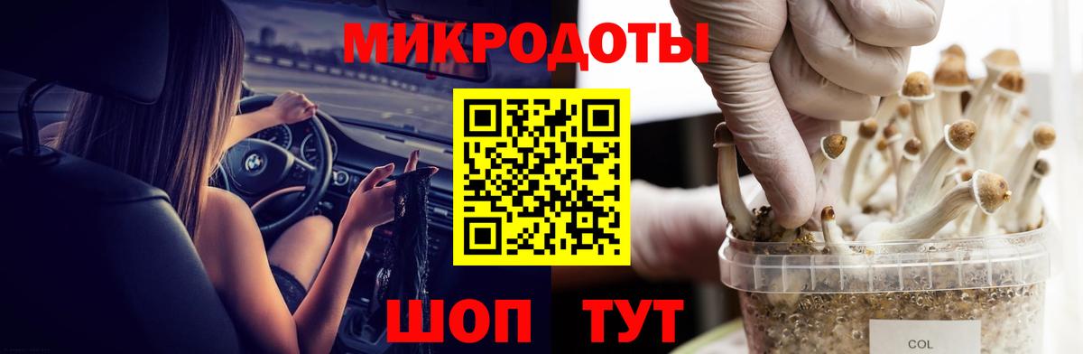 Ейск  Галлюциногенные грибы Psilocybine cubensis  Вход с VPN  Галлюциногенные грибы прущие грибы 